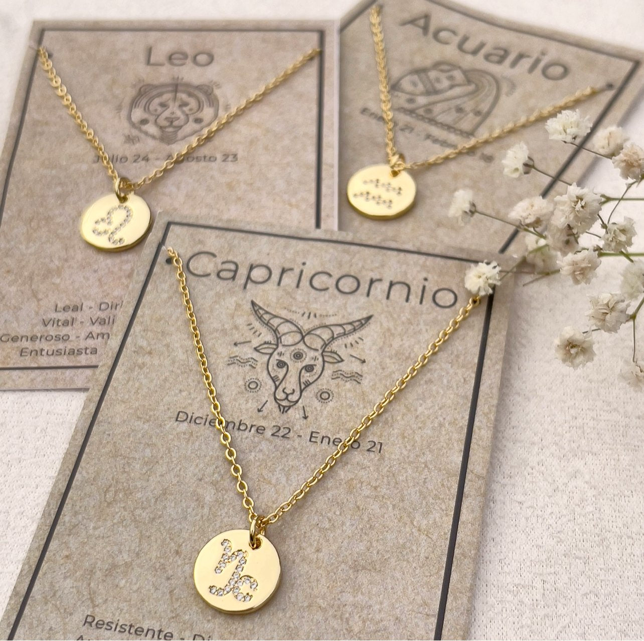 Zodiac Sign Coin Necklace