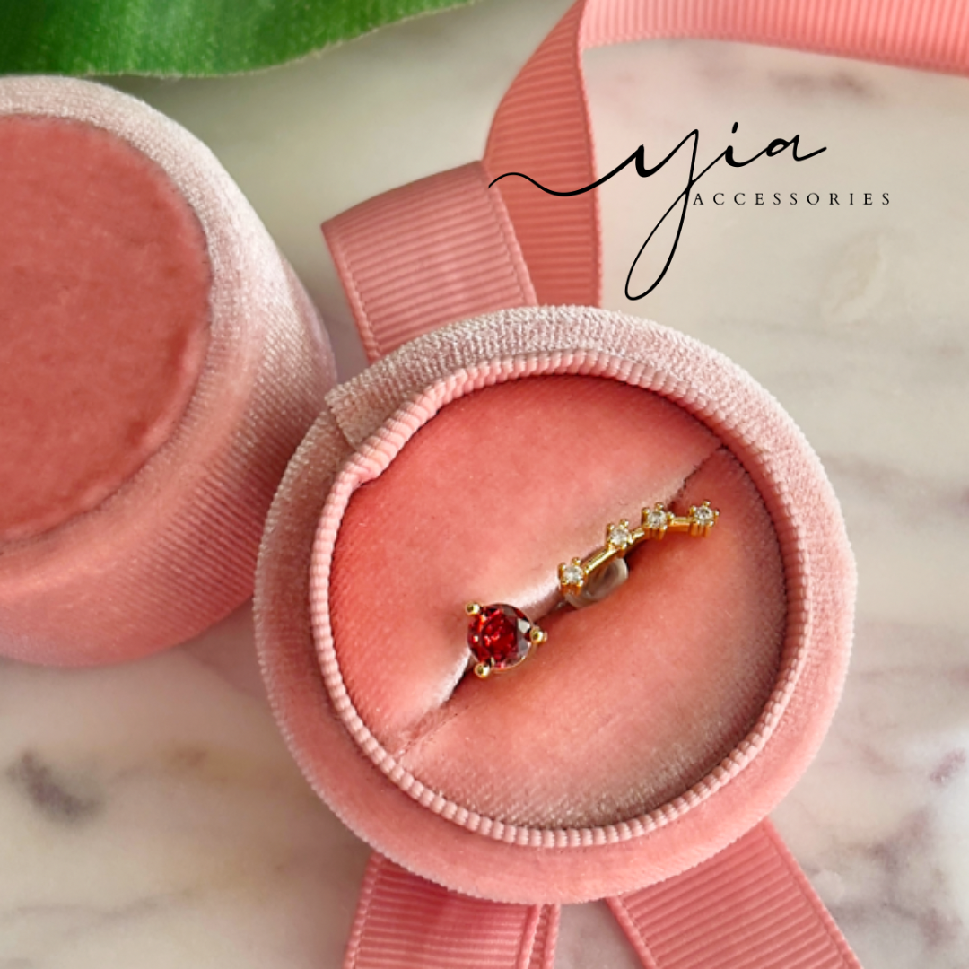 Zodiac Sign Earrings Yia Accessories